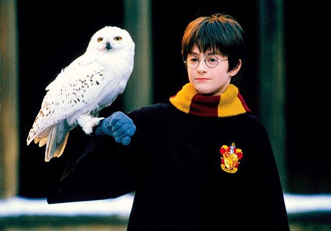 Harry Potter Und Der Stein Der Weisen Stream Kostenlos
