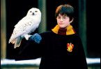 Das nenne ich Flugpost! Daniel Radcliffe als Harry 
Potter