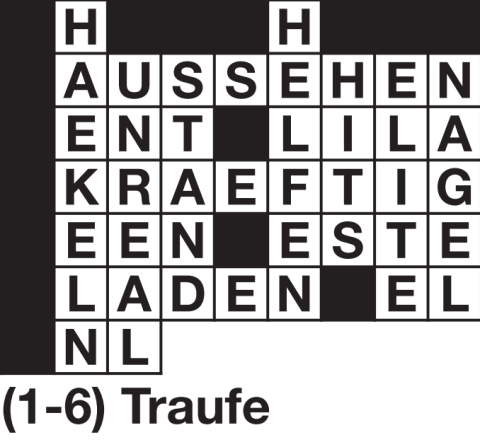 Das 500-Euro-Rätsel der prisma-Ausgabe 42/2026.
