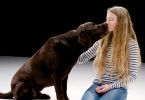Urvertrauen - das Band zwischen Mensch und Hund