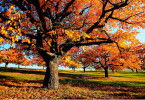 Herbstwelten