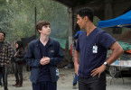 The Good Doctor
