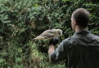 Die Superkräfte der Tiere
