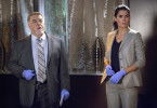 Rizzoli & Isles