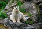 Tierpark Berlin