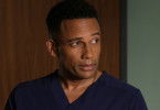 The Good Doctor