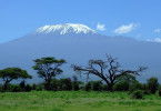 The Last Ascent - Will Gadd's Return to Kilimanjaro