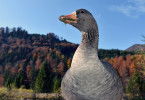Das Almtal - Mächtige Berge, klares Wasser und faszinierende Wildtiere