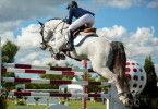 Springreiten: Global Champions Tour