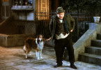 Lassie in Not