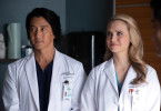 The Good Doctor
