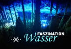 Faszination Wasser
