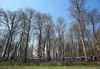 Radsport: Flandern-Rundfahrt