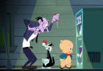 Looney Tunes Cartoons