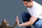 Hund und Katze - Haustiere Himmel oder Hölle?