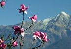 Wunderwelt Schweiz