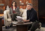 Scream 7