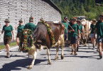 Heimatleuchten
