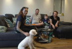 Der Hundeprofi - Rütters Team
