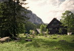 Die Wand (Director's Cut)