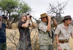 Safari