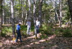 Die Schatzsucher von Oak Island