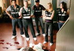 CSI: Den Tätern auf der Spur