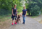 Der Hundeprofi - Rütters Team