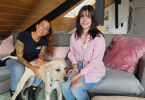 Der Hundeprofi - Rütters Team