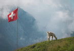 Das Berner Oberland