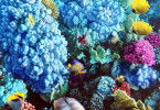 Blue Planet III
