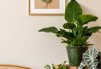 Room Tour