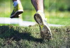 Trail: GT World Series